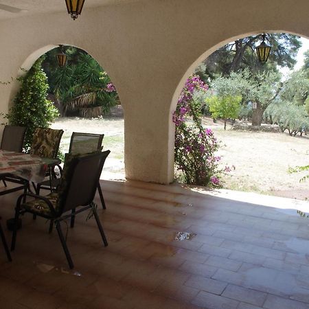 Chalkidiki Beachfront Haven - Perfect Location Nikiti  Exterior photo