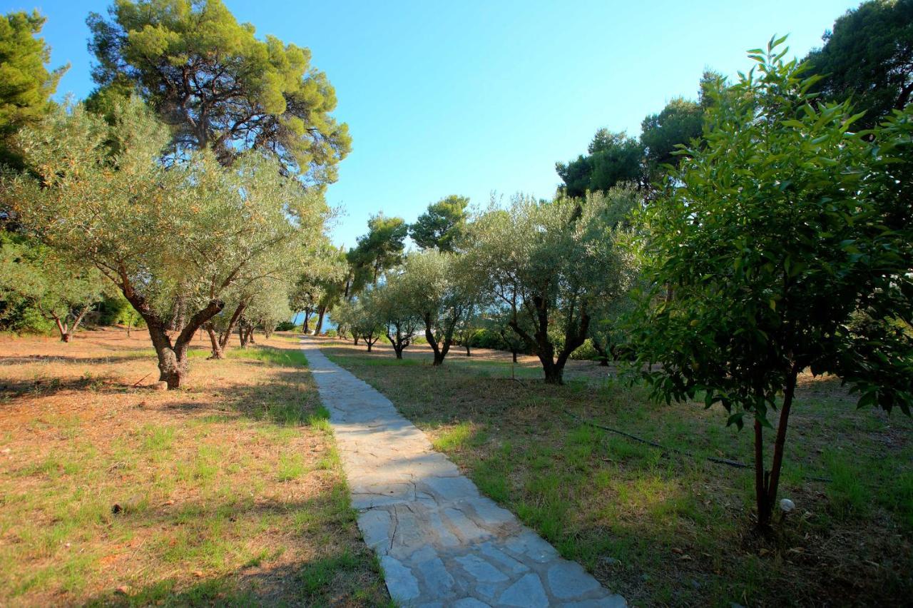 Chalkidiki Beachfront Haven - Perfect Location Nikiti  Exterior photo